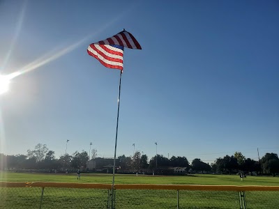 Heartwell Cal Ripken Babe Ruth photo 4