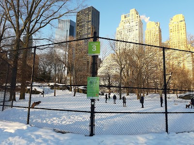 Heckscher Fields - Kickball Field 3 photo 2
