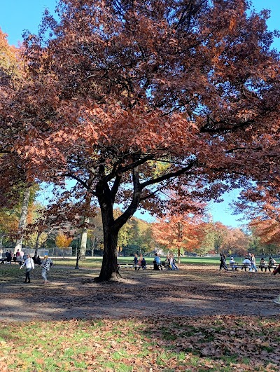 Heckscher Fields - Kickball Field 3 photo 5