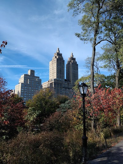 Heckscher Fields - Kickball Field 4 photo 4