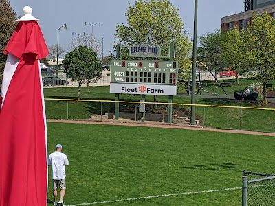 Helfaer Field photo 4