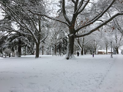 Hiawatha Playfield photo 3