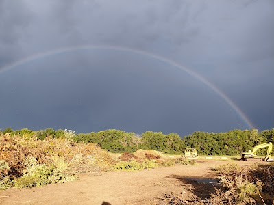 High Park Softball Complex photo 3