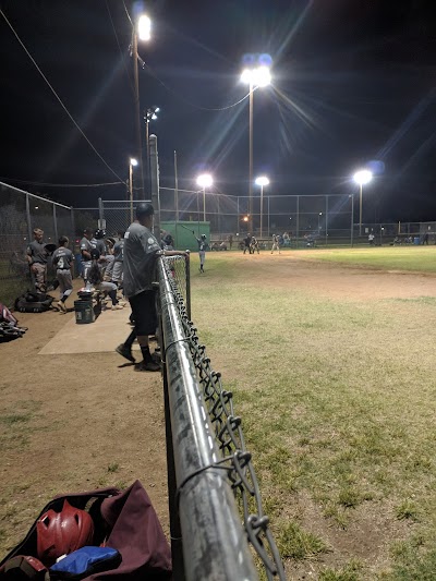 Holiday Park Baseball League