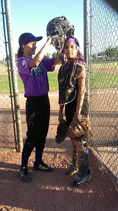 Holiday Park Baseball League photo 2