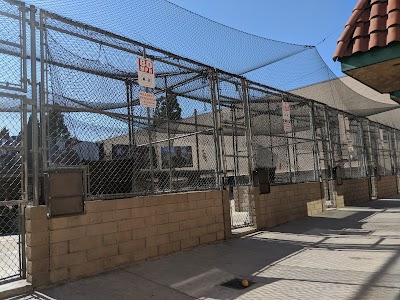 Home Run Park photo 3