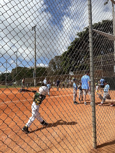 Howard Palmetto Baseball & Softball Association photo 3