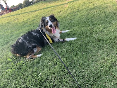 Huffines Softball Complex photo 4