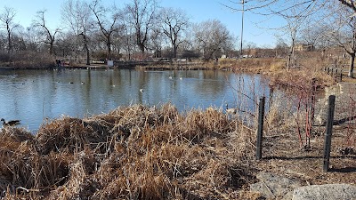 Humboldt Park Baseball Junior Softball Field photo 5