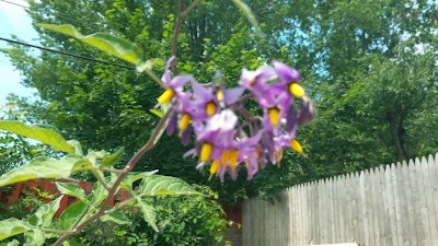 Humphrey Park photo 5