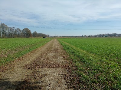 Irvington Sports Baseball & Softball photo 2