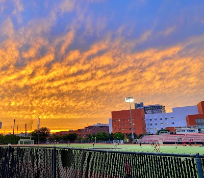 Jack Barry Field photo 2