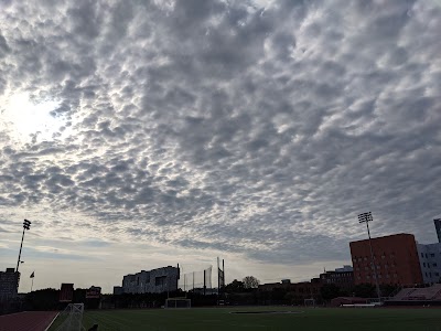 Jack Barry Field photo 3