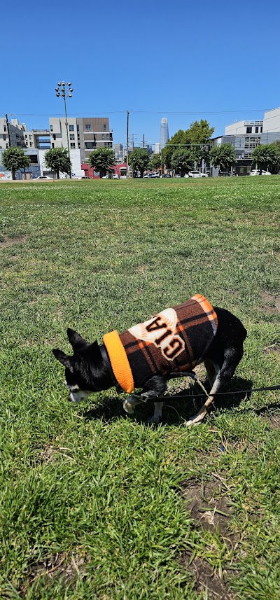 Jackson Ball Diamond 2 photo 3