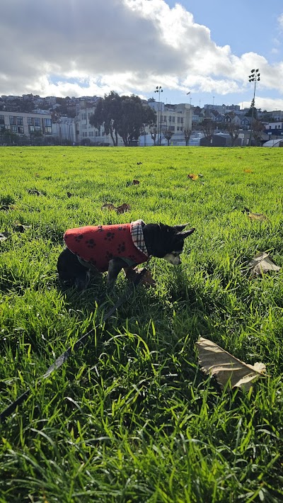 Jackson Ball Diamond 2 photo 5