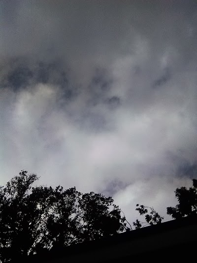 Jacksonville Miracle League photo 5