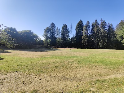 Jane Hammond Softball Field