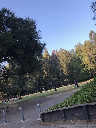 Jane Hammond Softball Field photo 4