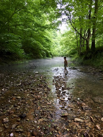 Jim Warren Park Baseball Field #10 photo 4