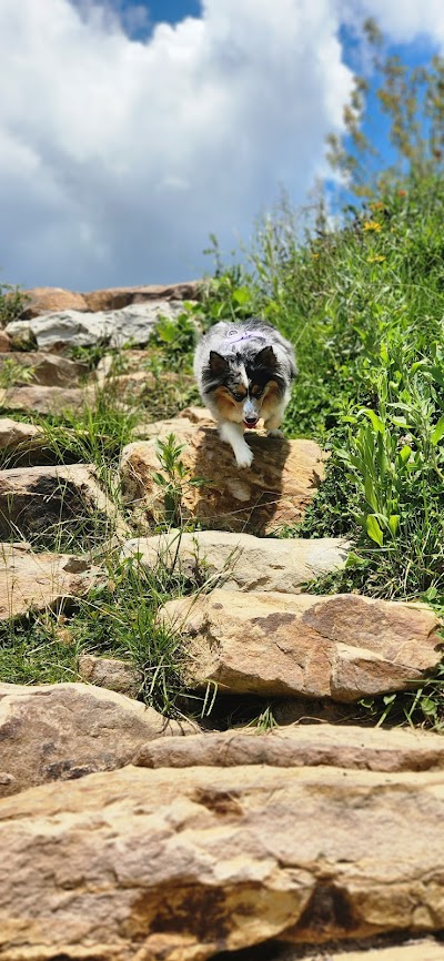 John R.Jones Junior Athletic Complex photo 4