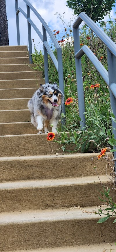 John R.Jones Junior Athletic Complex photo 5