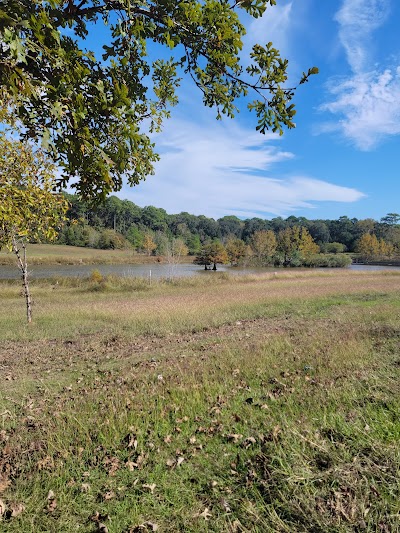 Keith-Wiess/ Bosque Park Baseball Fields