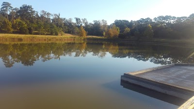 Keith-Wiess/ Bosque Park Baseball Fields photo 2