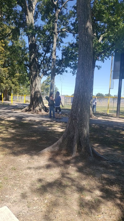LaSalle Prk - Softball photo 2