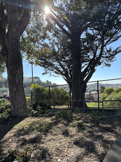 Laurel Hill Ball Diamond photo 3