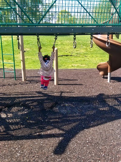 Lemon Hill Baseball photo 3