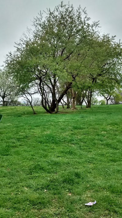 Lemon Hill Baseball photo 4