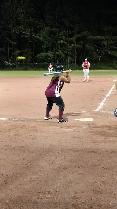 Liberty Park Sports Complex photo 4