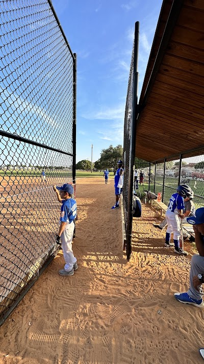 Liga Latinoamericana de Softball