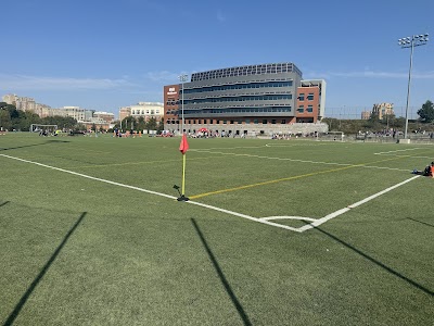 Limerick Field photo 2