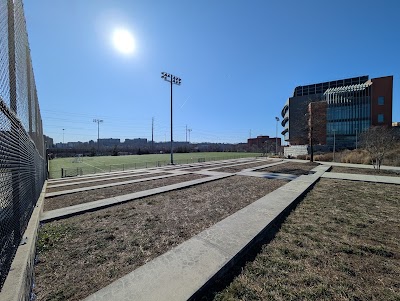 Limerick Field photo 3