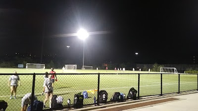 Limerick Field photo 5