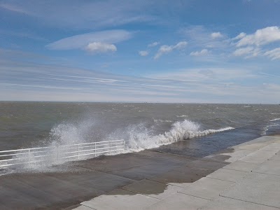 Lincoln Park Waveland Softball Fields photo 4