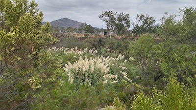 Little League Fields photo 4