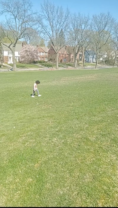 Lomond Athletic Fields photo 3