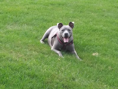 Lomond Athletic Fields photo 4