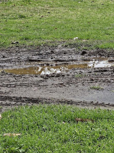 Long Beach Little League photo 4