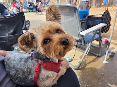 Los Altos Youth Baseball photo 2