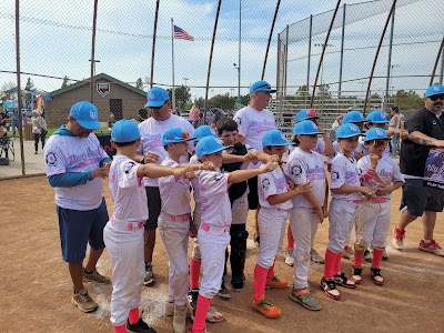 Los Altos Youth Baseball photo 4