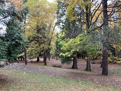 Lower Woodland Park Ballfields photo 5