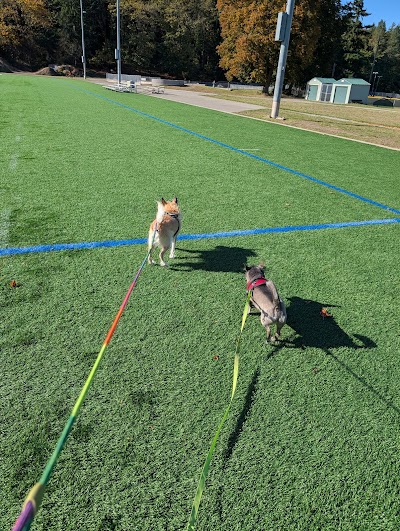Lower Woodland - Soccer Field #2 photo 3