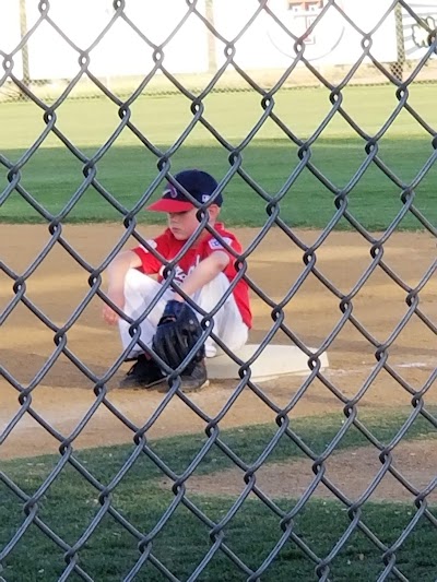 Lubbock Western Little League photo 3