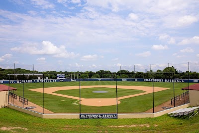 Lucian-Hamilton Field