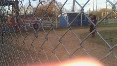 Madison Little League photo 3