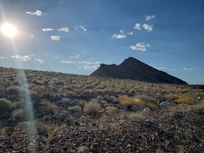 Majestic Softball Park
