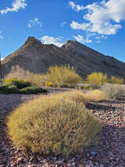 Majestic Softball Park photo 3